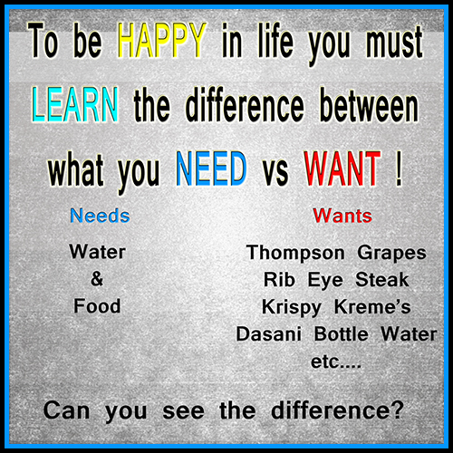 1-Needs vs Wants Food